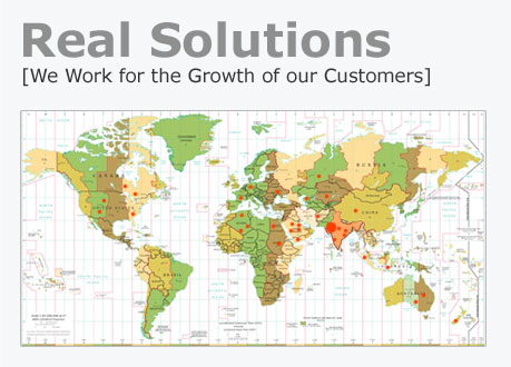 Real Solutions : Web Designing Company